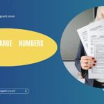 Law Of Large Numbers Insurance