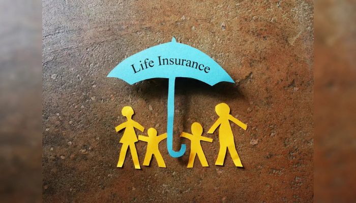 What are the main types of life insurance programs
